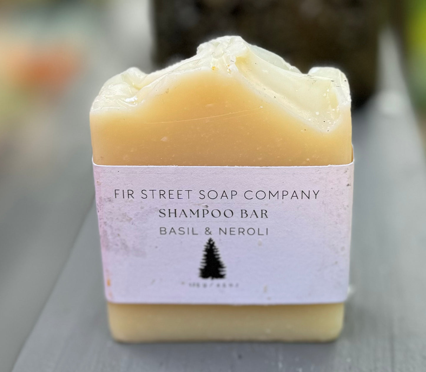 Shampoo Bar